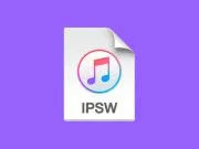 Archivos ISPW